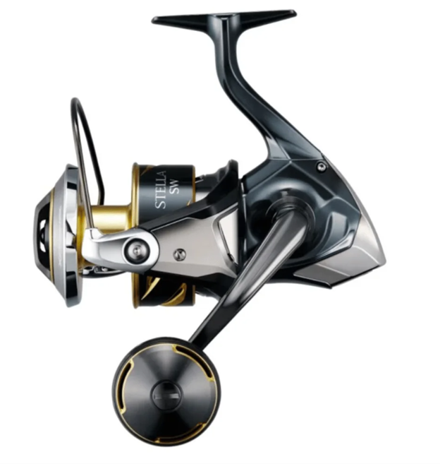 Shimano Stella SW D 10000 PG