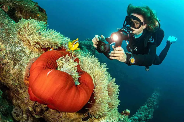 Sealife Micro 3.0 Pro Duo 5000 Su Altı Kamera Seti