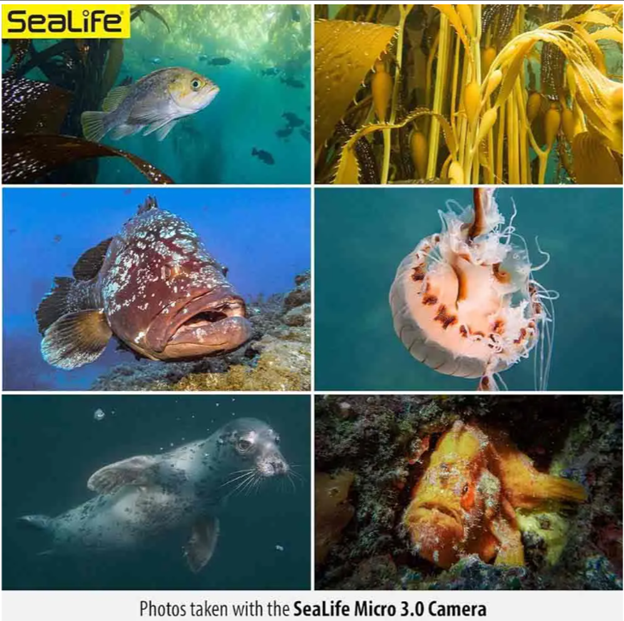 Sealife Micro 3.0 Pro 3000F Color Boost Su Altı Kamerası