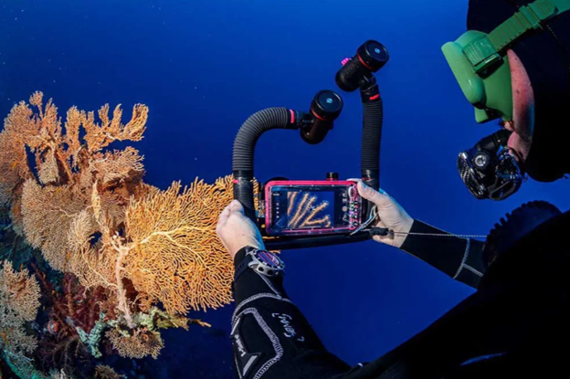 Sealife Sea Dragon 3000F Color Boost Dalış Lambası