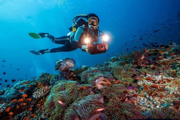 Sealife Duo Sea Dragon 6000 Color Boost Dalış Lambası