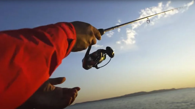 Daiwa 24 Certate LT 3000D-C